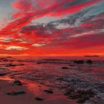 bob·体育综合app下载手机版