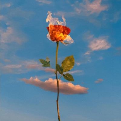 888集团电子游戏