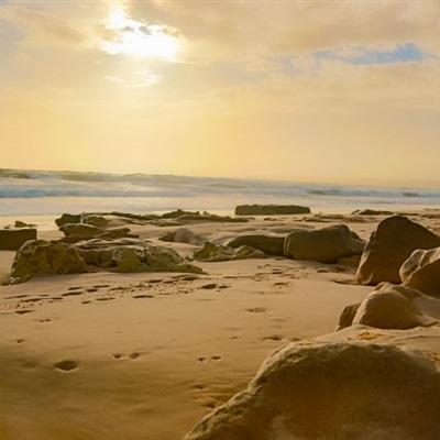 中欧体育app全站